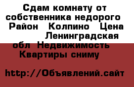 Сдам комнату от собственника недорого › Район ­ Колпино › Цена ­ 8 000 - Ленинградская обл. Недвижимость » Квартиры сниму   